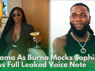 Full Voice Note: Drama As Burna Boy Mocks Sophia