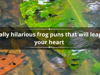 200+ toad-ally hilarious frog puns that will leap into your heart