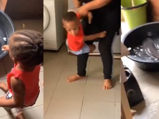 "The boy turned to spiderman, the girl even vanished" – Hilarious moment little kids made a quick exit from waggling catfish (VIDEO)