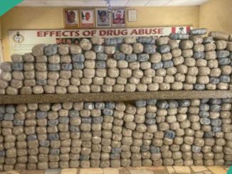 NDLEA Intercepts US, Saudi Arabia, Italy-bound Drug Shipments in Prayer Beads, Others