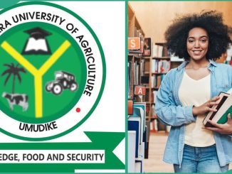 MOUAU portal: how to check admission status on the portal and JAMB, and next steps
