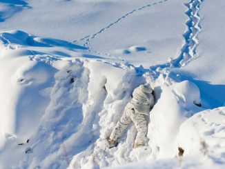 Canada PM Carney announces deal with Australia to boost Arctic radar