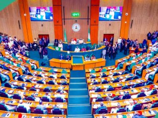JUST IN: Chaos in House of Reps as Female Lawmakers Clash in Heated Exchange