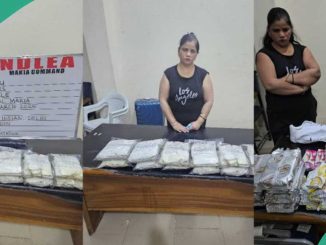 NDLEA Arrests Indian Lady With 72 Parcels of Illicit Drugs in Chocolate Wraps