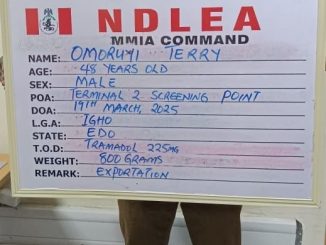 Lagos, Italy Based Businessmen Arrested Over Illicit Drug Shipments To Nigeria, Europe