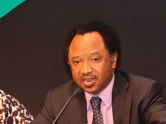 2027 Election: Shehu Sani Declares Interest in Kaduna Central Senatorial Seat, Gives Reasons