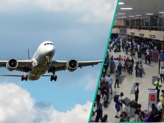 Nigerian Airline Suspends Operation, Cancels All Flights