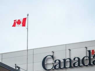 13,171 Nigerians Denied Asylum in Canada, Expert Gives Reason