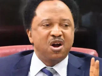 APC Will Win Kaduna In Presidential, NASS Elections In 2027 - Shehu Sani