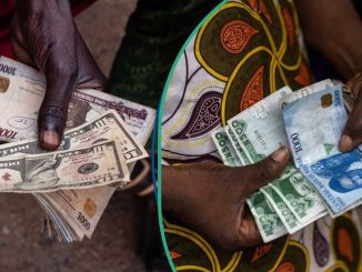 Access, Zenith, Other Currency Dealers Sell Dollar at New Rate as CBN Releases New Exchange Rate