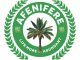Afenifere calls for sack of National Assembly leadership over Rivers State emergency rule