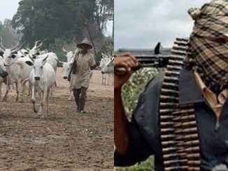 Armed herdsmen have invaded my constituency - Reps member raises alarm