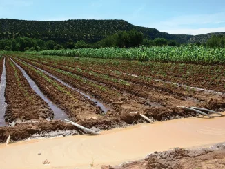 Bauchi Launches 2025 Irrigation Support, Distributes Free Seeds, Equipment