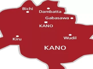 Coalition Demands Probe Of Kano Killings, Disregard Of Durbar Ban