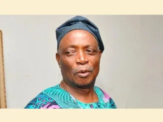 Emergency rule in Rivers not a threat to democracy - Ladoja
