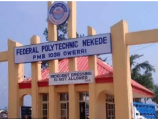 Nekede Poly