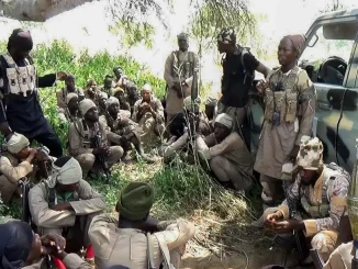 Fleeing bandits intensify attacks in Sokoto