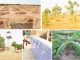 For Katsina Residents, NAGGW Represents Hope And Transformation