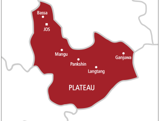 Gunmen kill Miyetti Allah chairman, Adamu in Plateau