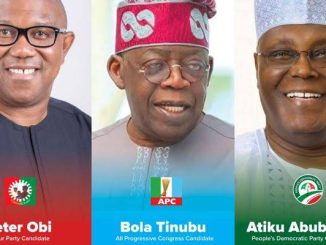Official Presidential Election Results For 25 LGAs In Borno