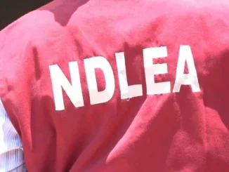 NDLEA Officers Arrested For Fatally Shooting Teenager To Death In Kano