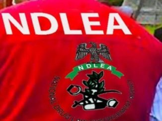 NDLEA auctions properties forfeited by drug traffickers