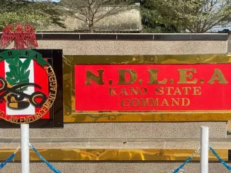 NDLEA