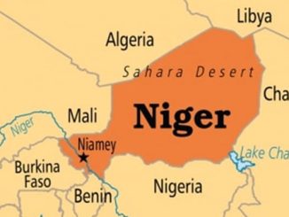 Niger Republic quits Lake Chad military force