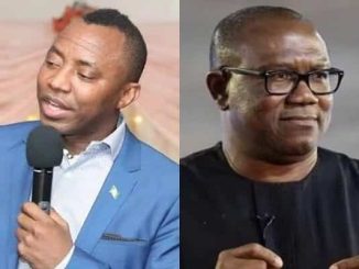 'Presidency Attacks Peter Obi Because They Know He Is A Wimp' - Sowore