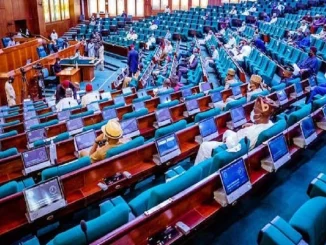 Reps To Probe Ebonyi Gov, Police Over Alleged Abduction, Torture Of Ohanaeze Youth President