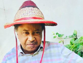 Requesting 'trillion' naira to count Nigerians total madness - Shehu Sani knocks NPC