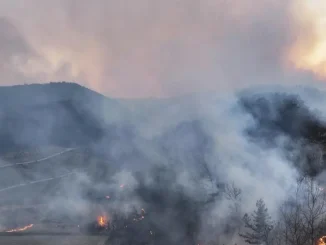 Wildfires kill four in South Korea, injure six