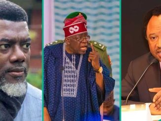 2 Former Southeast Govs, Others Make Tinubu's Ambassadorial Appointment List