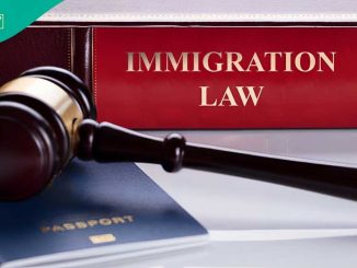Trump: Immigration Experts React as US Revokes Visa of African Country