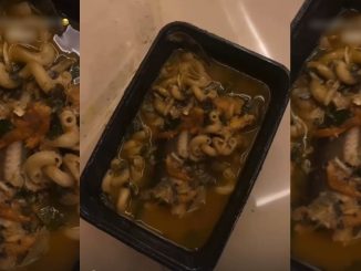 "Macasoup" – Influencer Surprised to Find Macaroni in Peppersoup Ordered in Ogun State (VIDEO)