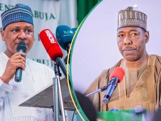 Tinubu’s Minister Reacts To Report Of Dismissing Governor Zulum’s Security Concerns