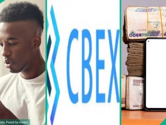 Man Shows Screenshots of Cbex Users Group Chat, Exposes How Nigerians Fall For Ponzi Schemes