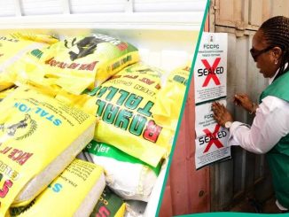 Security Operatives Storm Abuja Markets, Seal Many Shops Selling Fake Rice as FCCPC Alerts Nigerians