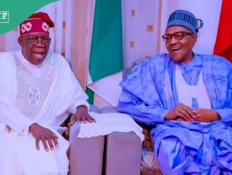 “We’re Loyal to Tinubu”: Buhari’s Former Party Leaders Break Silence on Plot to Exit APC