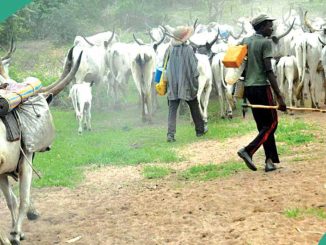 Breaking: Black Good Friday As Herdsmen Kill 10 Worshippers In Benue