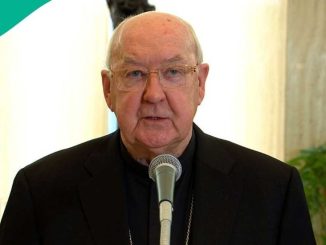 BREAKING: US Cardinal Takes Over as Interim 'New Pope', Details Emerge