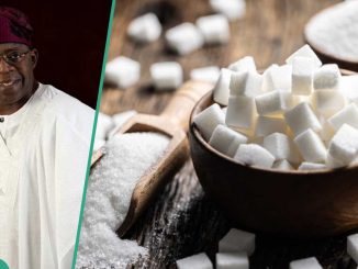 More Employments for Nigerians as FG Launches New Nigeria Sugar Master Plan