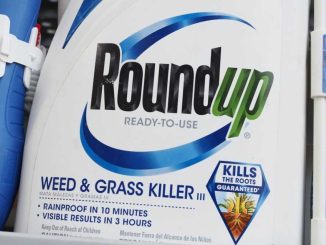 Bayer says legal woes could force it to pull weedkiller