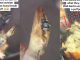 Lady discovers wall gecko cooked inside puff puff bought from street vendor