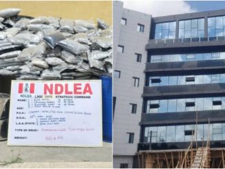 NDLEA uncovers N1bn worth of Canadian loud at hotel in Lagos