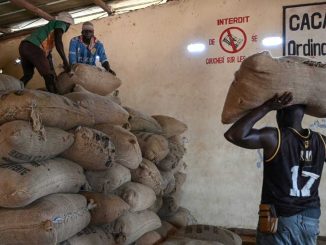 Nigeria’s non-oil exports reach $1.7 billion, as FG releases list of top commodities