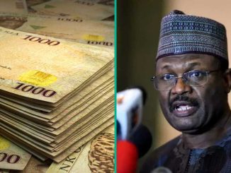 Actual Salary and Allowance of INEC Chairman as Approved by FG Released