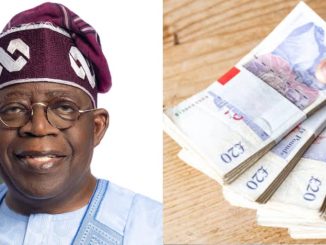 Man vows to pay £150k for proof of Tinubu’s school certificates and school names