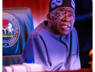 2027: Choosing a northern Christian as a VP will benefit Tinubu - Arewa youth