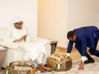 Adesina Thanks Buhari For Support During AfDB Presidency Campaigns